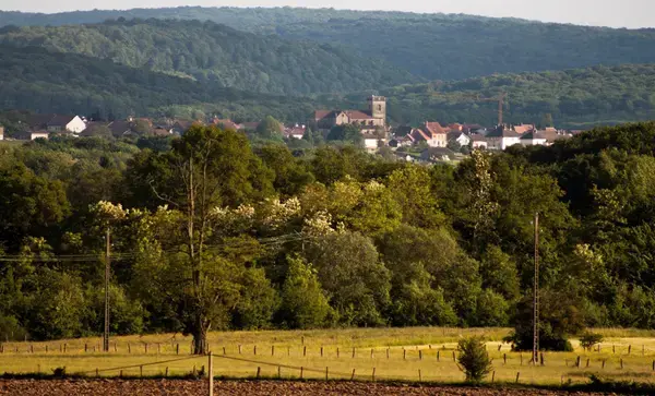 Monte Escalier Haute-Saône Entreprise monte escalier Saulx